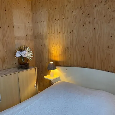 19 Bulle Der Jusque 8 Personnes Vue Du Der Hébergement de vacances Giffaumont-Champaubert