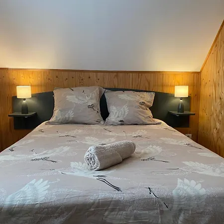 19 Bulle Der Jusque 8 Personnes Vue Du Der Hébergement de vacances Giffaumont-Champaubert